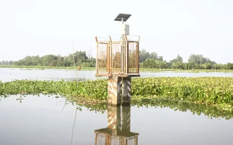 تأثير الطقس الحار على تسرب المياه المالحة في دلتا نهر ميكونغ